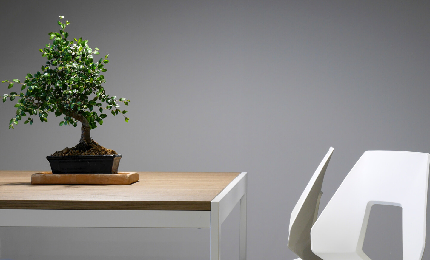 Hallo, Planty!